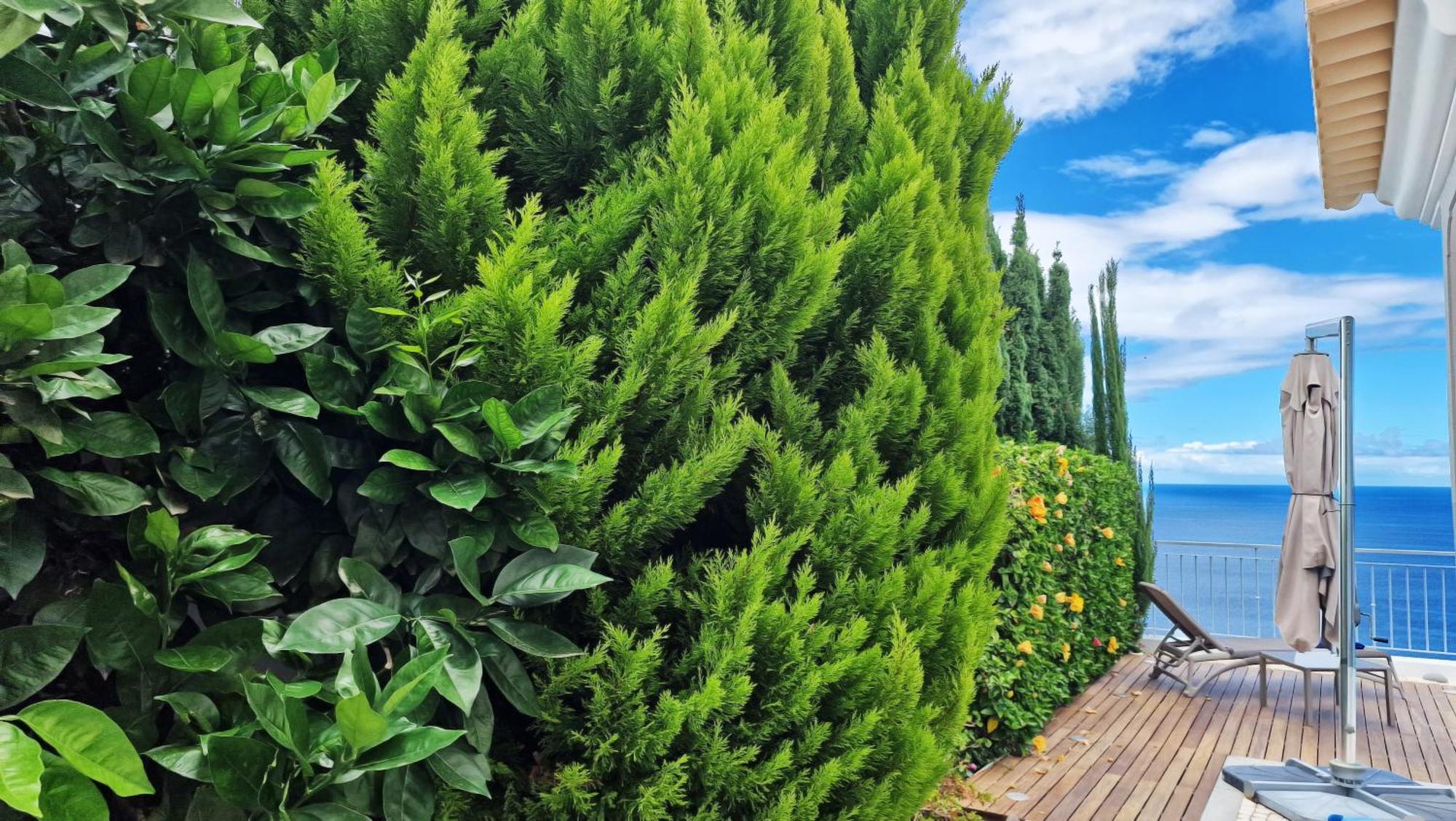 Villa Valentina By Lovelystay Ponta do Sol  Exterior photo